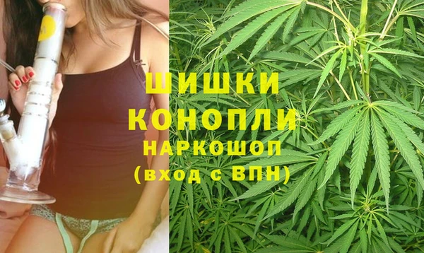 прущие крисы Осташков