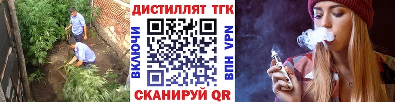 хочу Ардатов ТГК концентрат